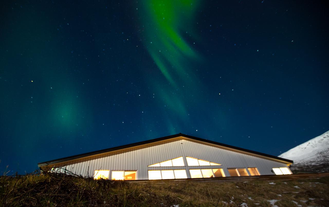 Uløybukta阿克提克帕诺拉玛旅舍别墅 外观 照片