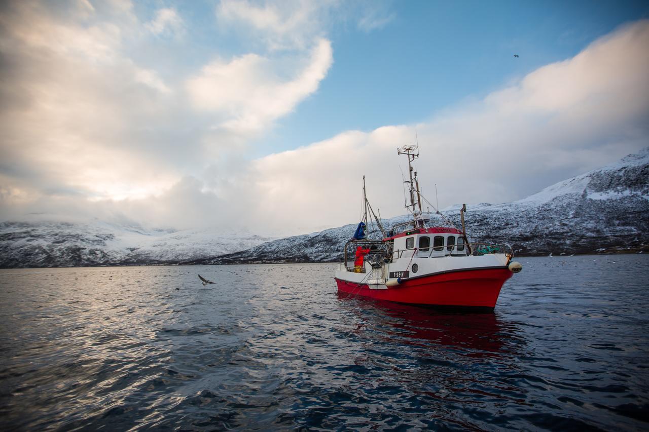 Uløybukta阿克提克帕诺拉玛旅舍别墅 外观 照片