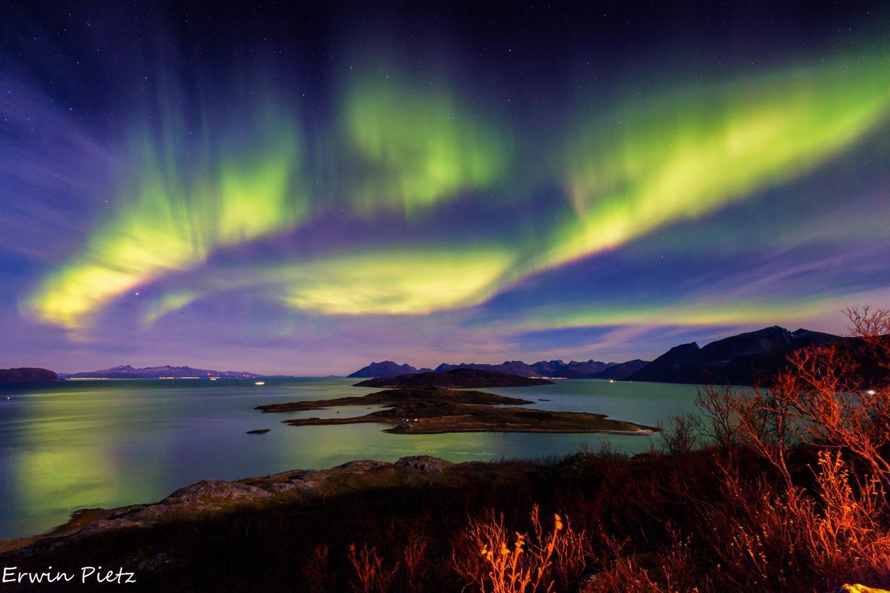 Uløybukta阿克提克帕诺拉玛旅舍别墅 外观 照片