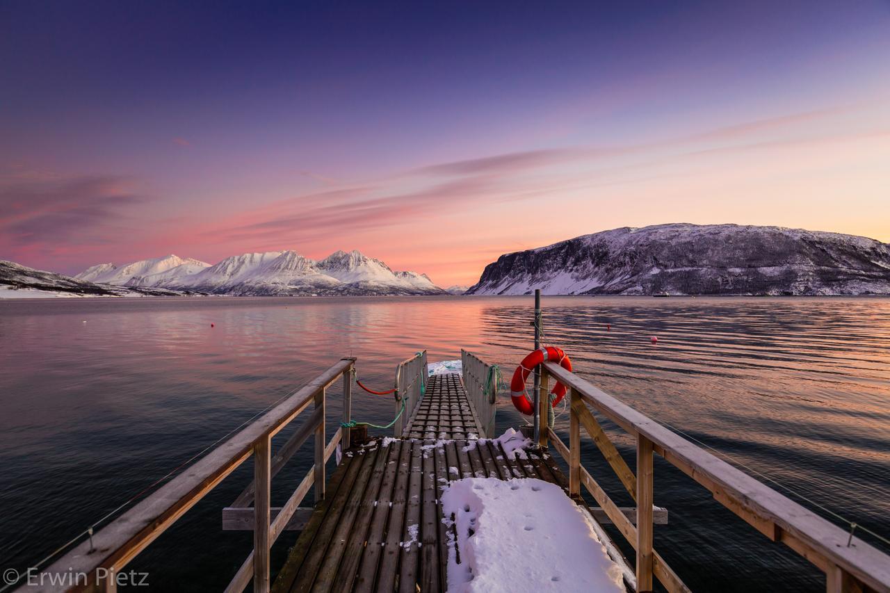 Uløybukta阿克提克帕诺拉玛旅舍别墅 外观 照片